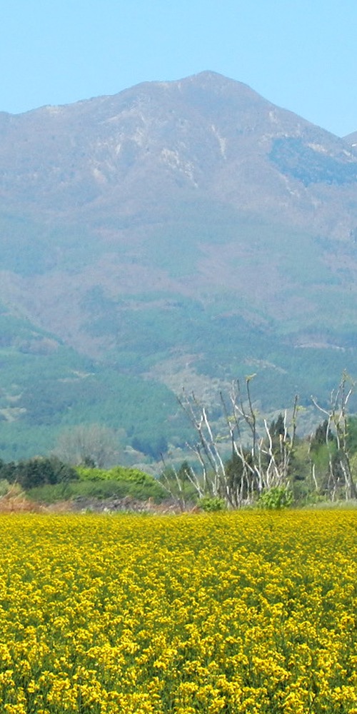 宅地物件